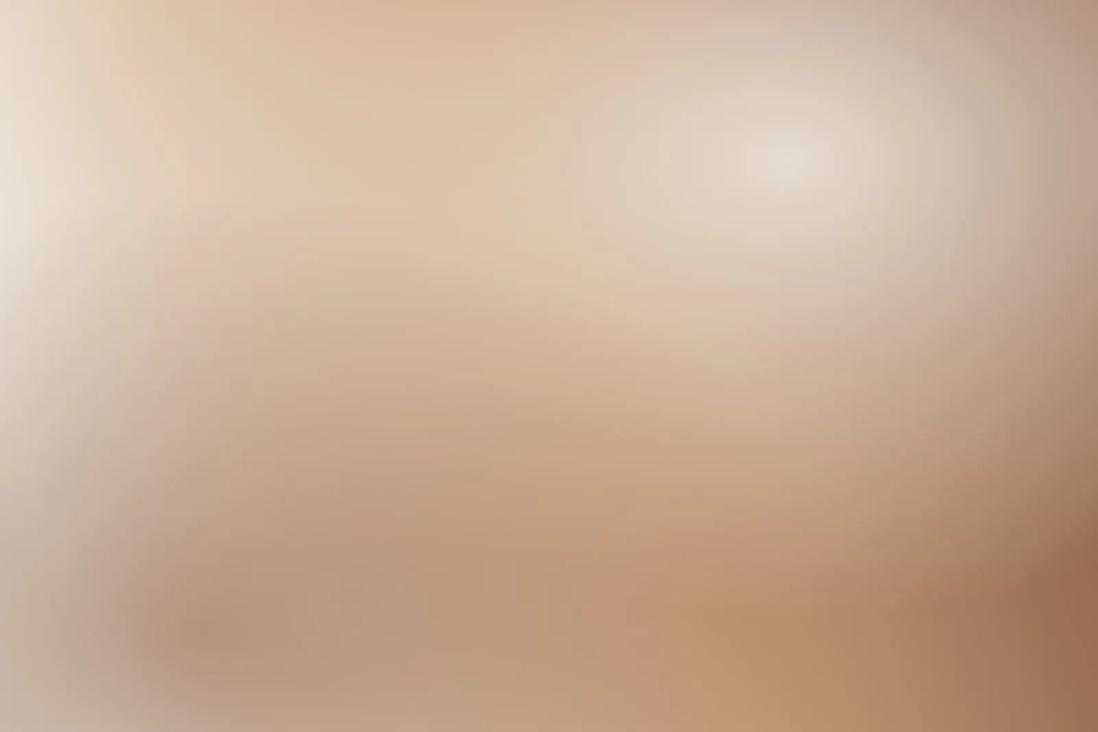 Soft clay-and-cream gradient, a placeholder standing in for a real hero image.