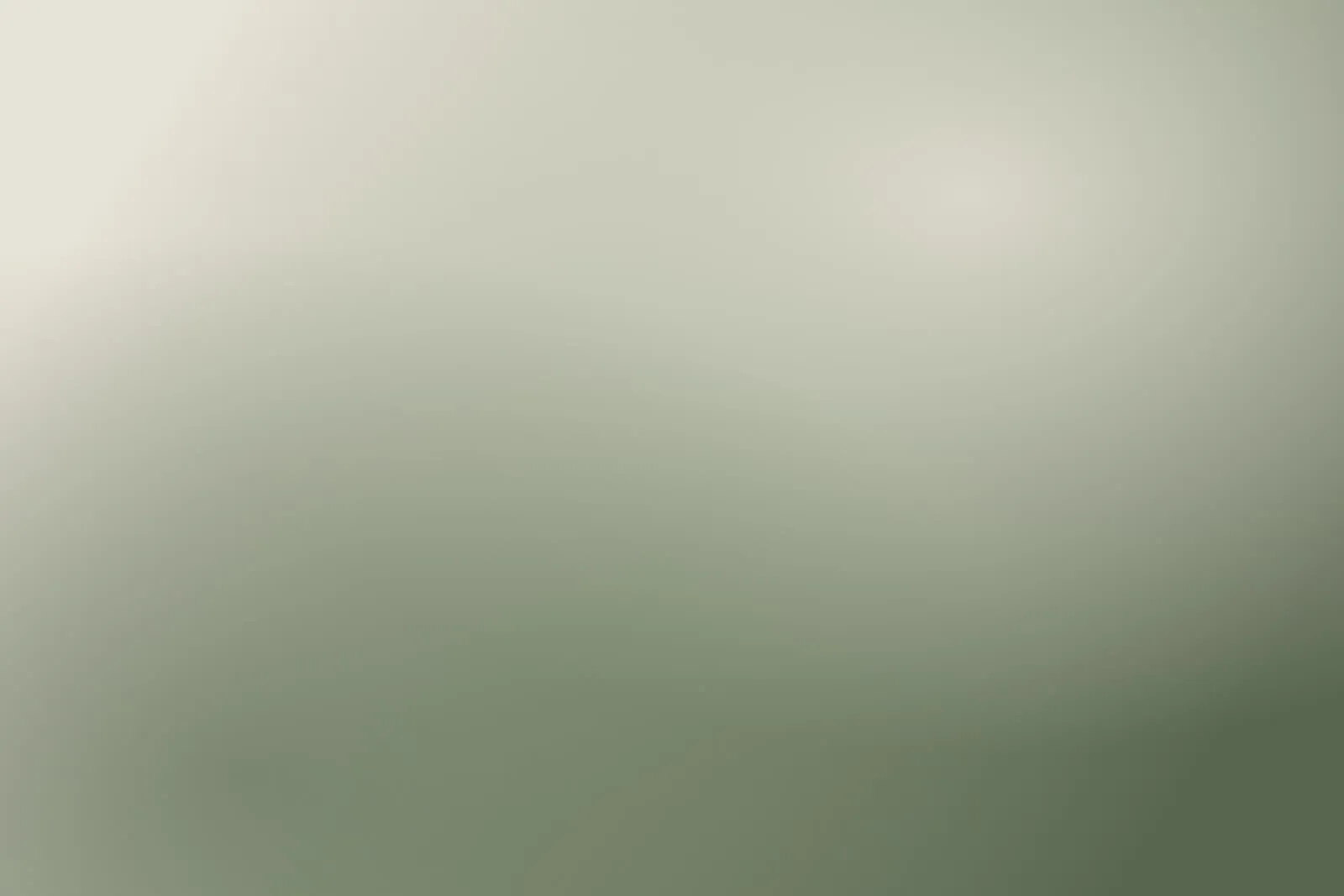 Soft sage-green gradient, a placeholder standing in for a real hero image.